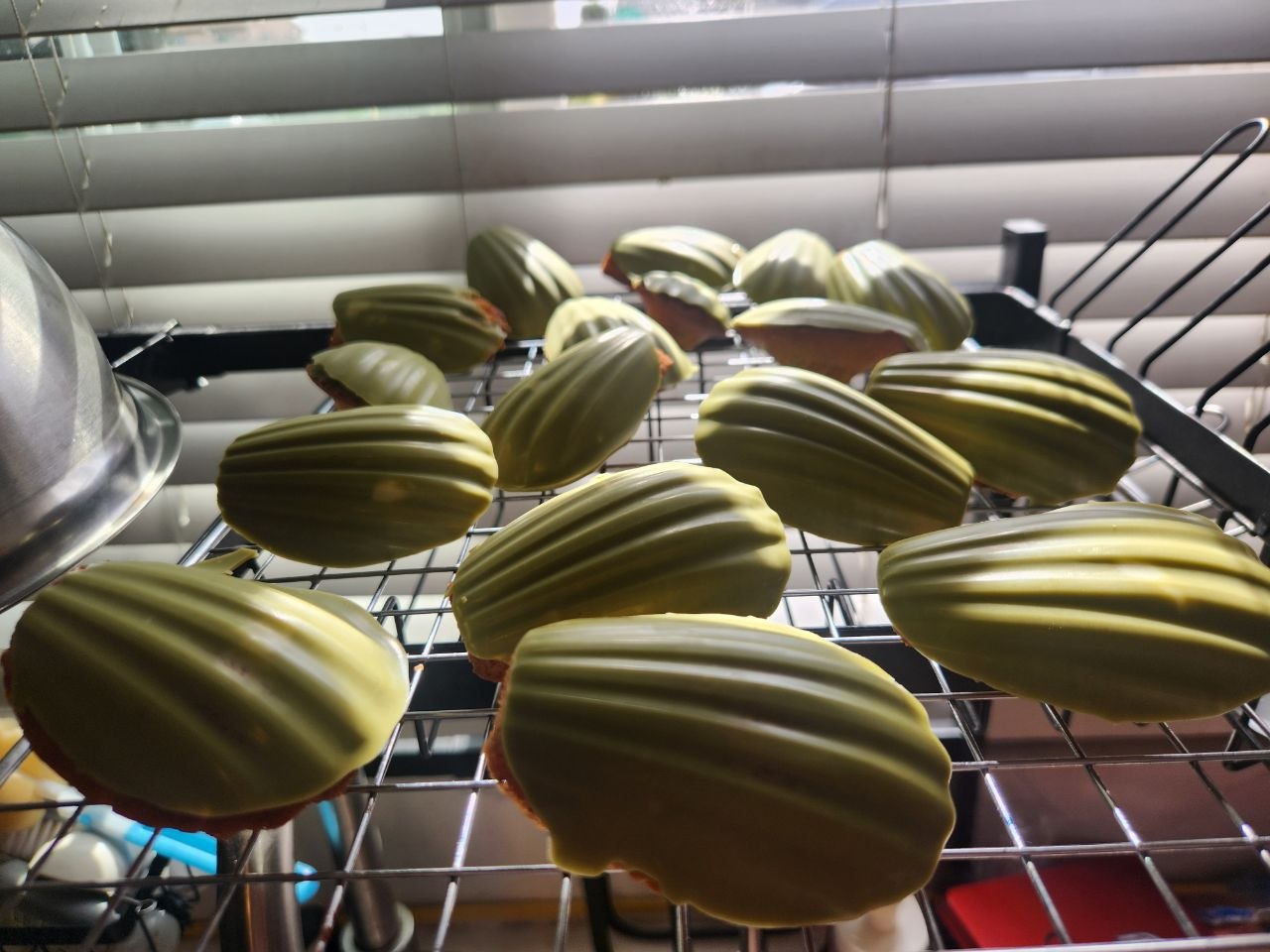 <Matcha White Chocolate> Earl Grey Madeleine