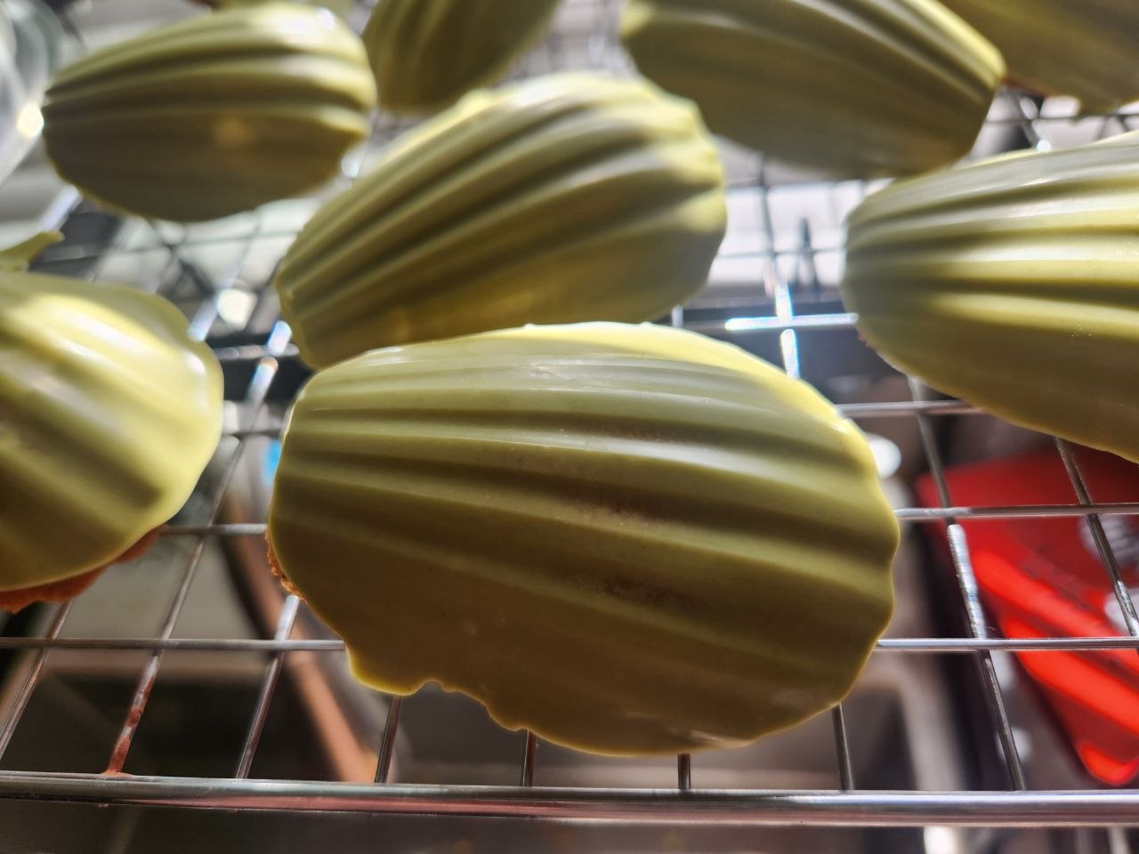 <Matcha White Chocolate> Earl Grey Madeleine